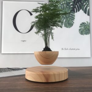Wooden Grain Magnetic Floating Levitating Indoor Flower Pot Plant Pot ABS Plastic Vase Succulents Stand Home Decoration Model And Token For Halloween Christmas Thanksgiving